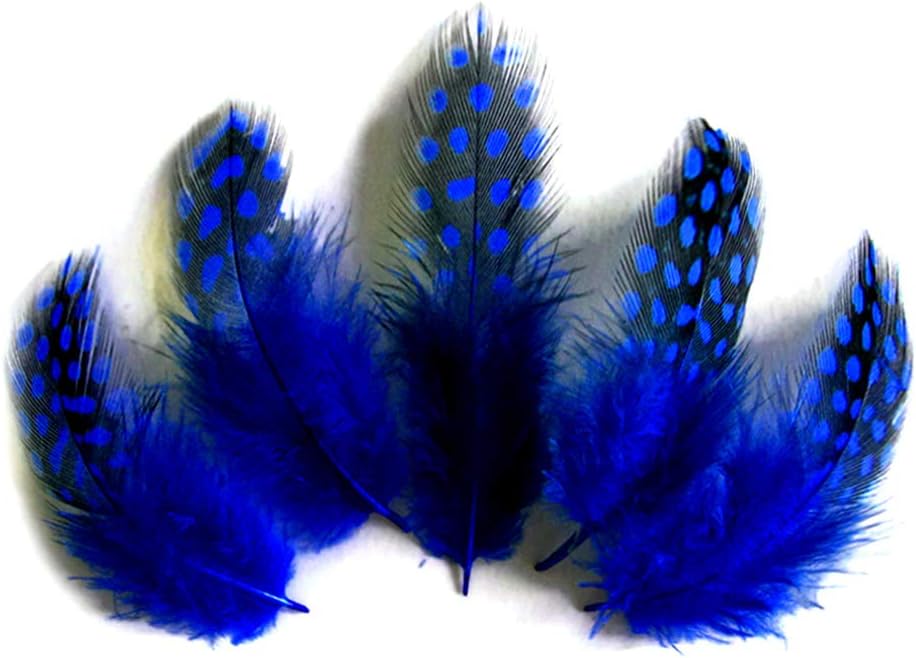 1/8 lb. Royal Blue Polka Dot Guinea Fowl Wing Quills Wholesale Feathers (Bulk)