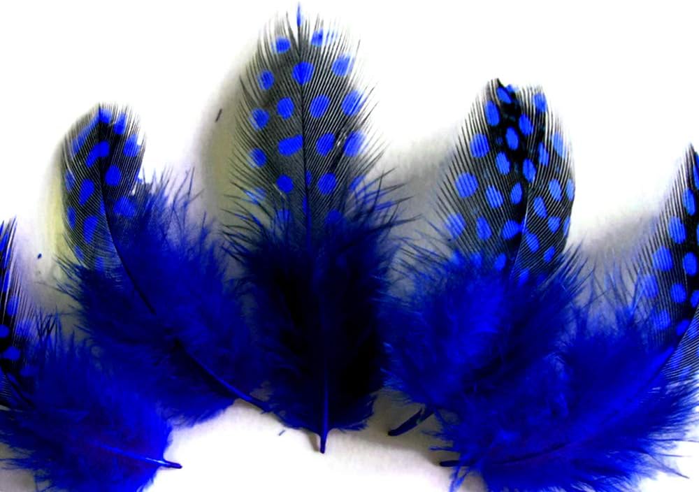 10 Pieces - Dyed Royal Blue Polka Dot Guinea Fowl Wing Quill Feathers