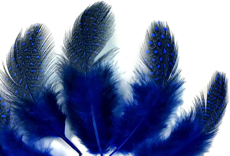 1/8 lb. Royal Blue Polka Dot Guinea Fowl Wing Quills Wholesale Feathers (Bulk)