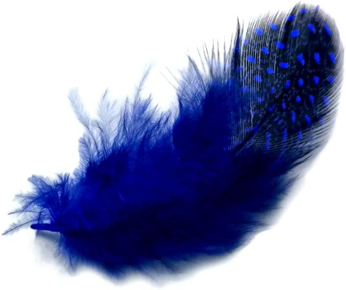 10 Pieces - Dyed Royal Blue Polka Dot Guinea Fowl Wing Quill Feathers