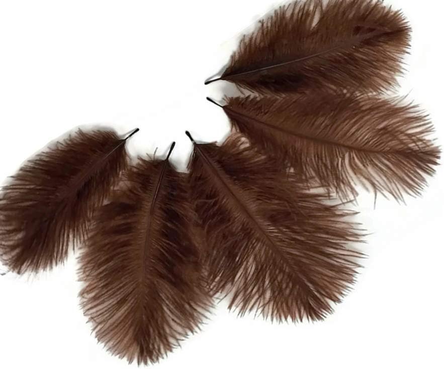 1 Pack - Brown Ostrich Small Confetti Feathers 0.3 Oz