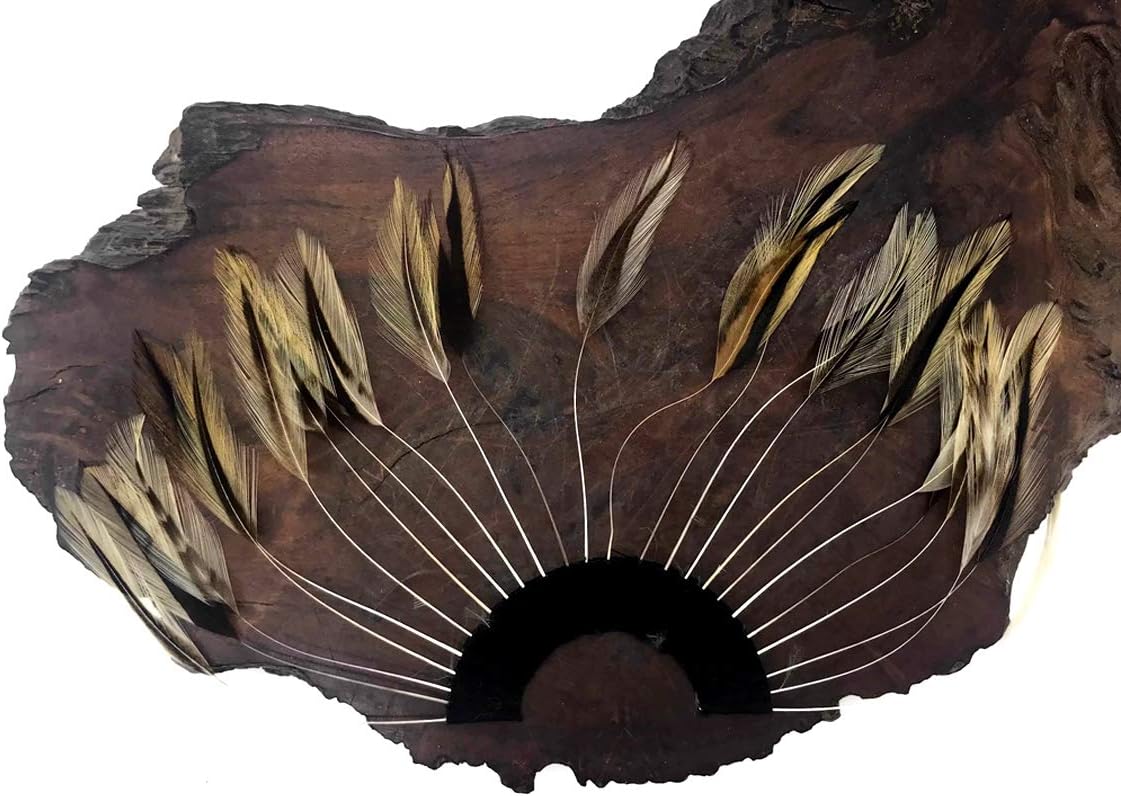 1 Piece - Golden Badger Half Beaded Pinwheel Stripped Rooster Hackle Feather Pads