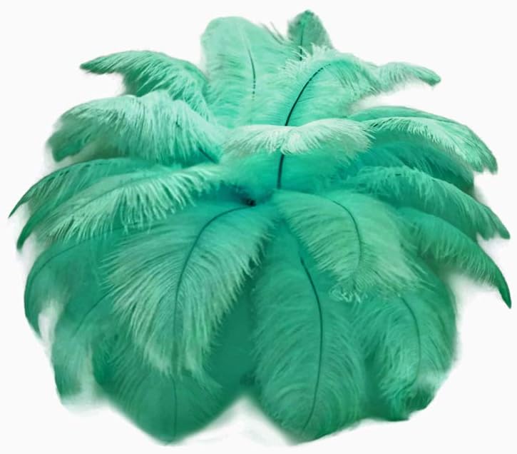 10 Pieces - 19-24" Aqua Green Ostrich Dyed Drabs Body Feathers