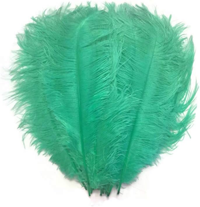 10 Pieces - 19-24" Aqua Green Ostrich Dyed Drabs Body Feathers