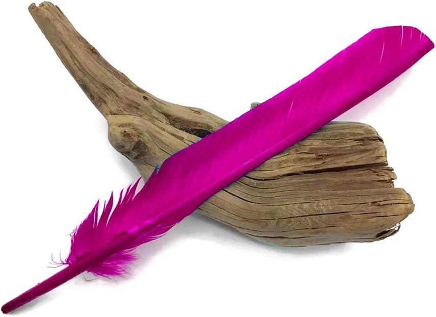 6 Pieces - Hot Pink Turkey Pointers Primary Wing Quill Large Feathers