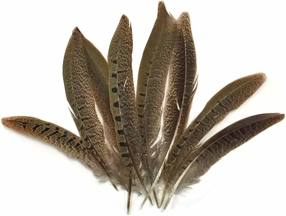 10 Pieces - 6-8" Natural Ringneck Pheasant Tail Feathers