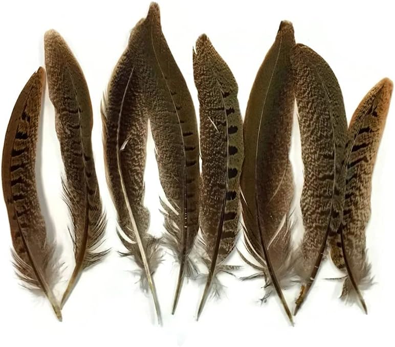 10 Pieces - 12-14" Natural Ringneck Pheasant Tail Feathers