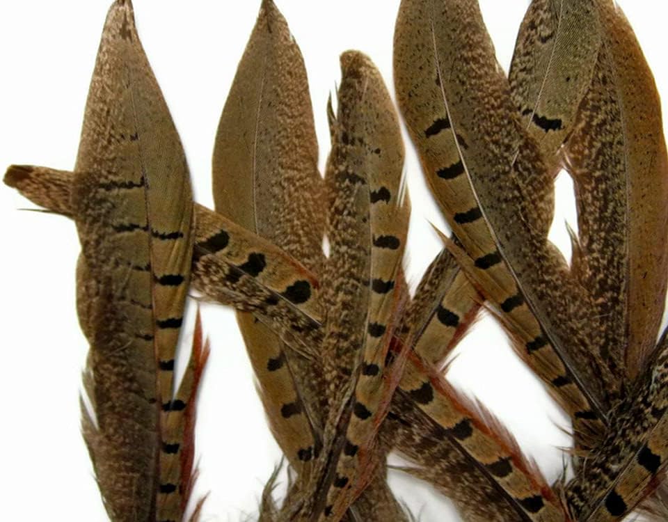 10 Pieces - 12-14" Natural Ringneck Pheasant Tail Feathers