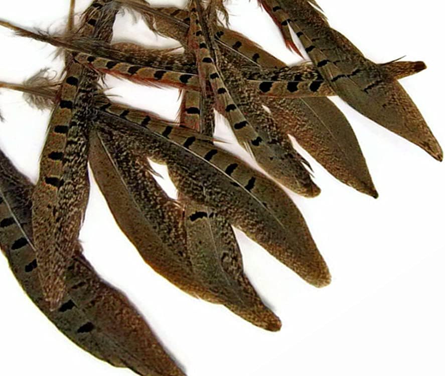 10 Pieces - 12-14" Natural Ringneck Pheasant Tail Feathers