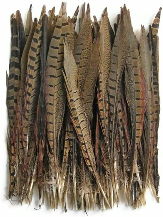 50 Pieces - 14-16" Natural Ringneck Pheasant Tail Wholesale Feathers (Bulk)