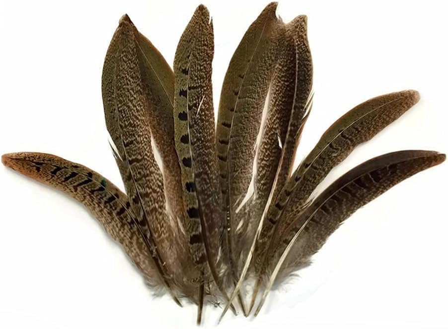 50 Pieces - 16-18" Natural Ringneck Pheasant Tail Wholesale Feathers (Bulk)