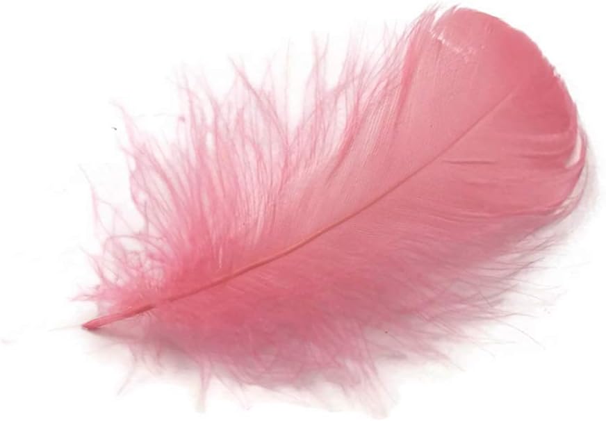 1/4 Lb - 2-3" Coral Goose Coquille Loose Wholesale Feathers (Bulk)