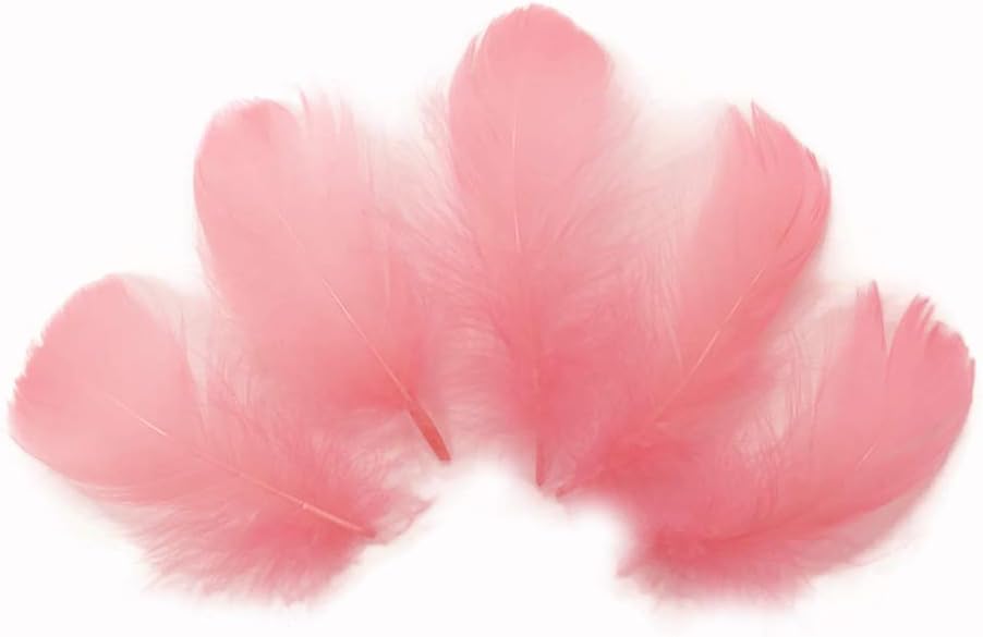 1/4 Lb - 2-3" Coral Goose Coquille Loose Wholesale Feathers (Bulk)