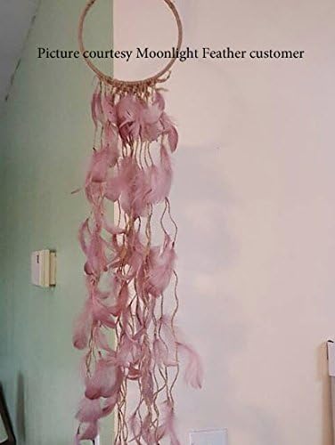 1 Pack - 2-3" Coral Goose Coquille Loose Feathers - 0.35 Oz.