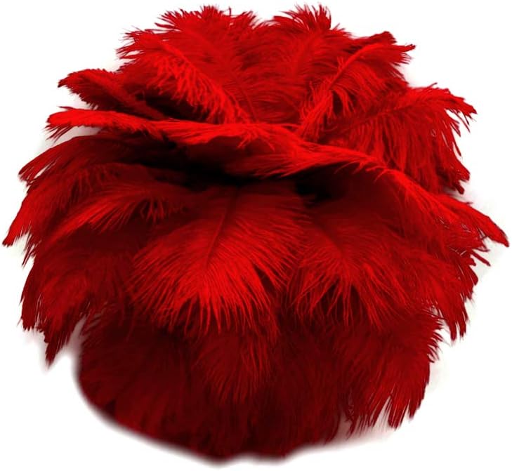 100 Pieces - 8-10" Red Ostrich Dyed Drab Body Wholesale Feathers (Bulk)