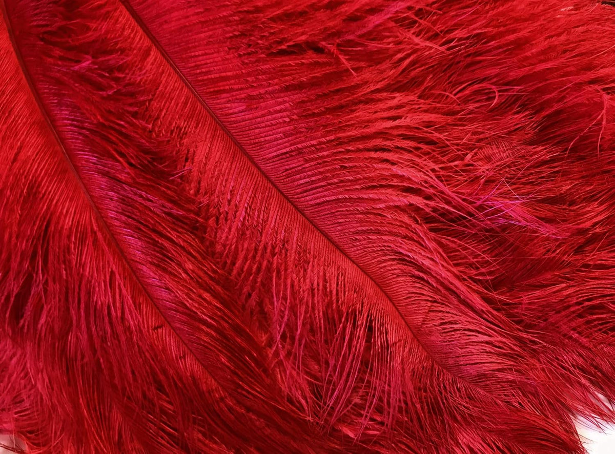 100 Pieces - 8-10" Red Ostrich Dyed Drab Body Wholesale Feathers (Bulk)
