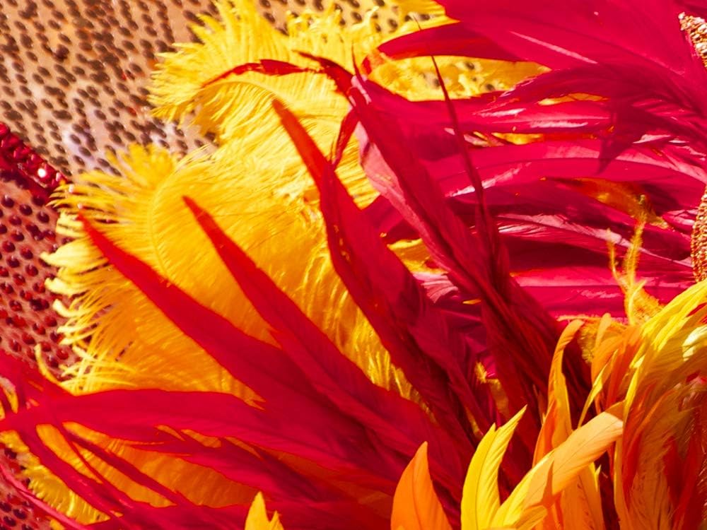 1/2 Lb. - 25-29" Golden Yellow Large Ostrich Wing Plume Wholesale Feathers (Bulk)