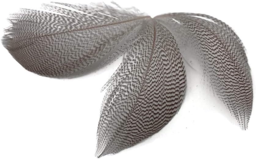 1/4 Lb. - Natural Barred Mallard Duck Flank Wholesale Feathers (Bulk)