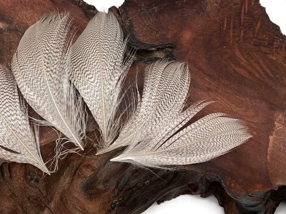 1 Pack - Natural Mallard Duck Flank Plumage Feathers 0.10 Oz.