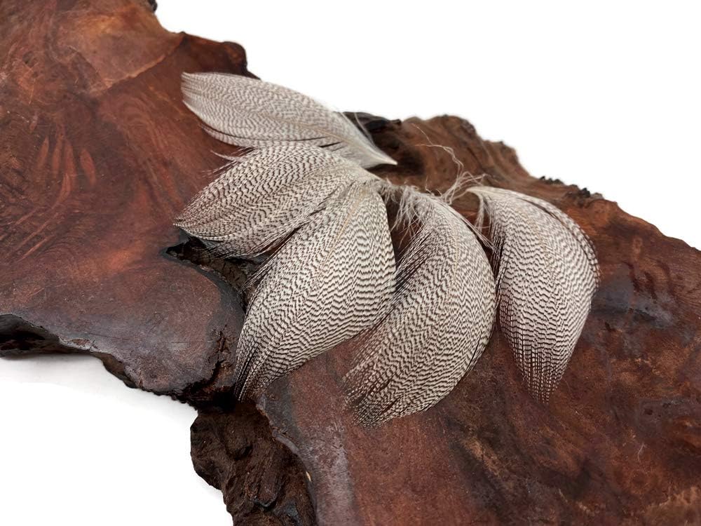 1 Pack - Natural Mallard Duck Flank Plumage Feathers 0.10 Oz.