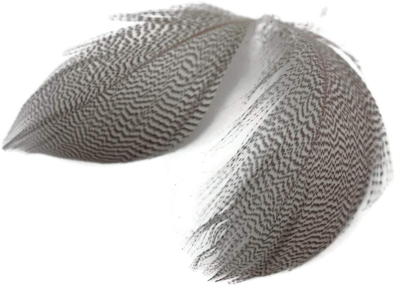 1 Pack - Natural Mallard Duck Flank Plumage Feathers 0.10 Oz.