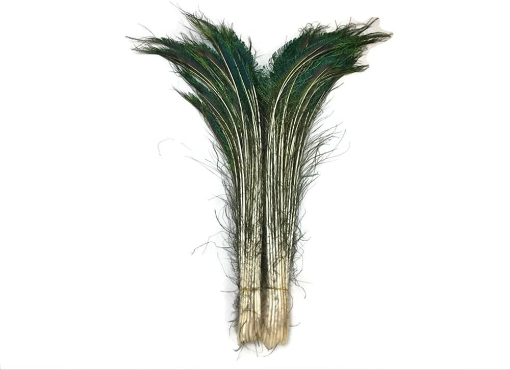 50 Pieces - 30-35" Natural Iridescent Green Peacock Swords Cut Wholesale Feathers (Bulk)