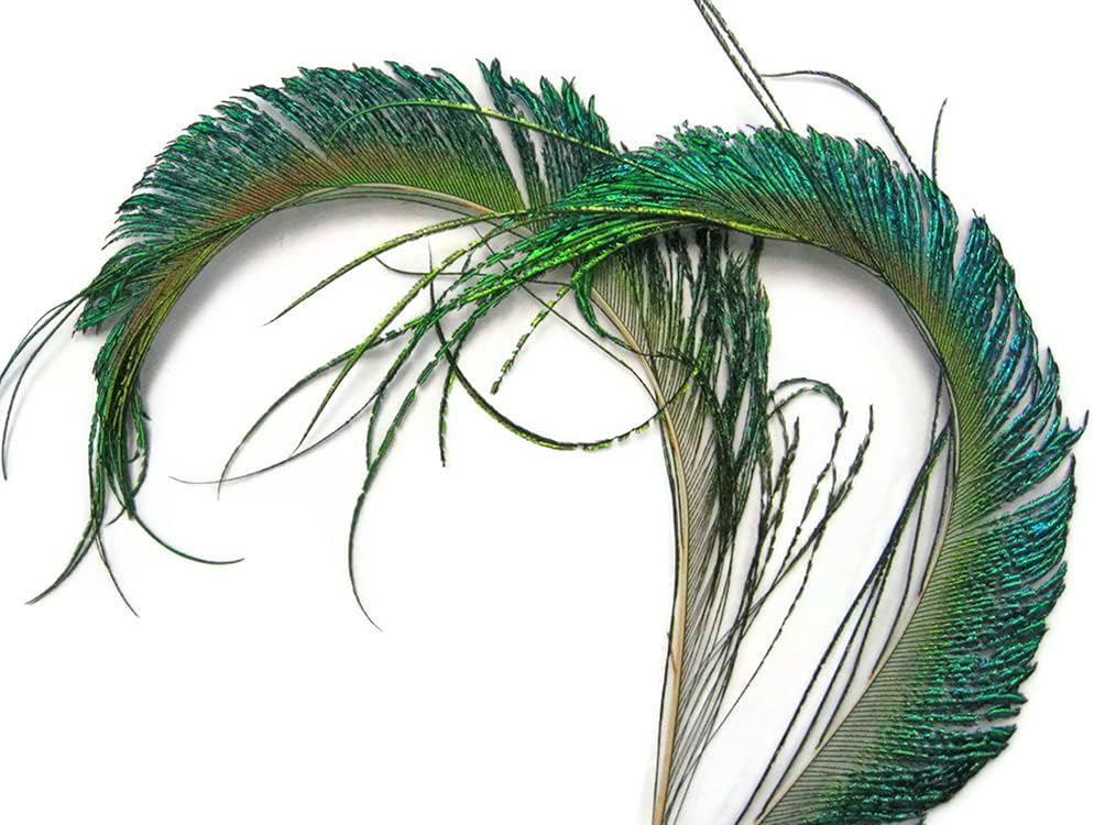 50 Pieces - 30-35" Natural Iridescent Green Peacock Swords Cut Wholesale Feathers (Bulk)