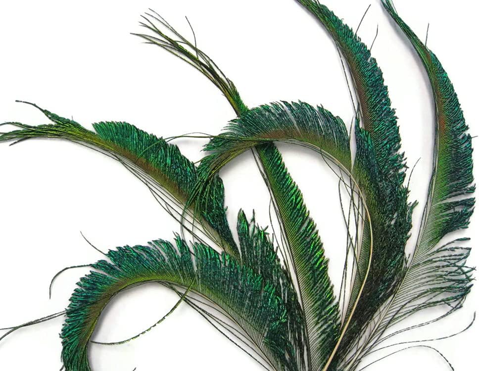 50 Pieces - 30-35" Natural Iridescent Green Peacock Swords Cut Wholesale Feathers (Bulk)