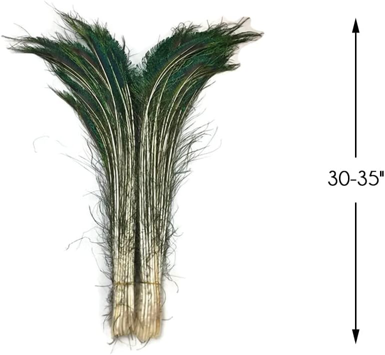 50 Pieces - 30-35" Natural Iridescent Green Peacock Swords Cut Wholesale Feathers (Bulk)