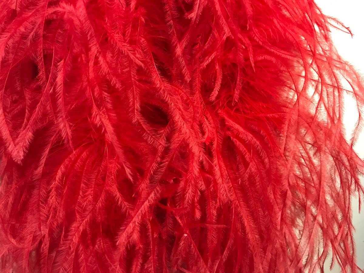 2 Yards - Red 2 Ply Ostrich Medium Weight Fluffy Feather Boa