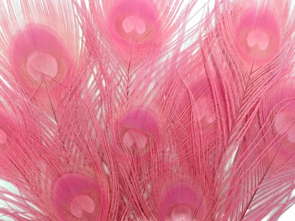 100 Pieces – Sweet Pink Bleached & Dyed Peacock Tail Eye Wholesale Feathers (Bulk) 10-12” Long