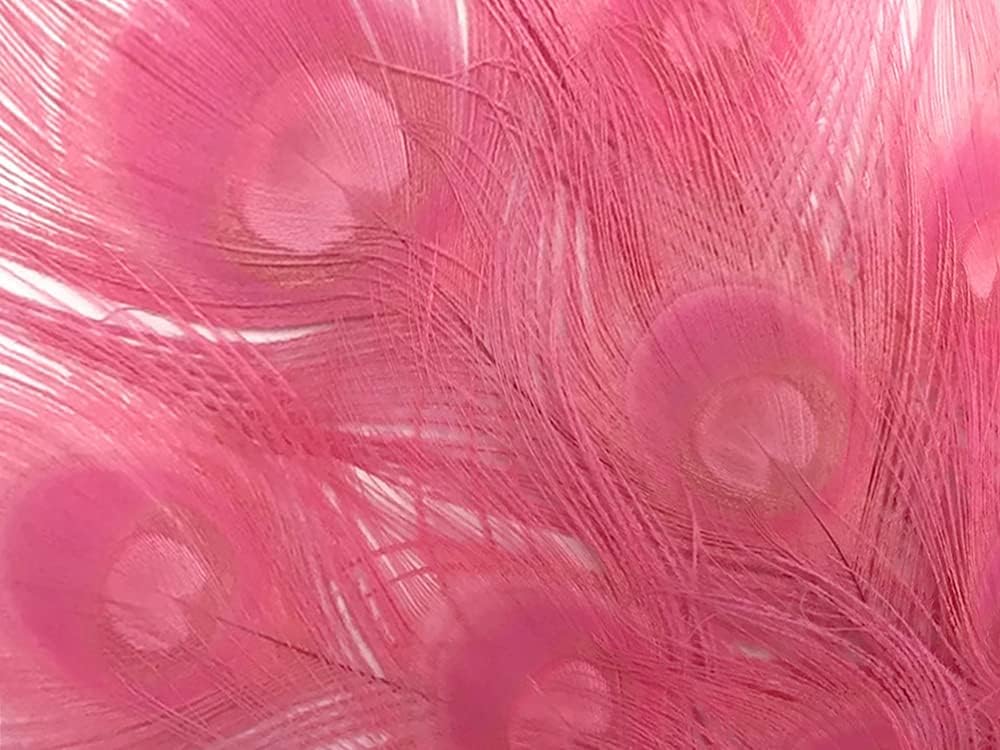 100 Pieces – Sweet Pink Bleached & Dyed Peacock Tail Eye Wholesale Feathers (Bulk) 10-12” Long