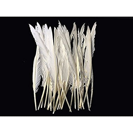 1/4 Lb. - Natural White Goose Pointers Long Primaries Wing Wholesale Feathers (Bulk)