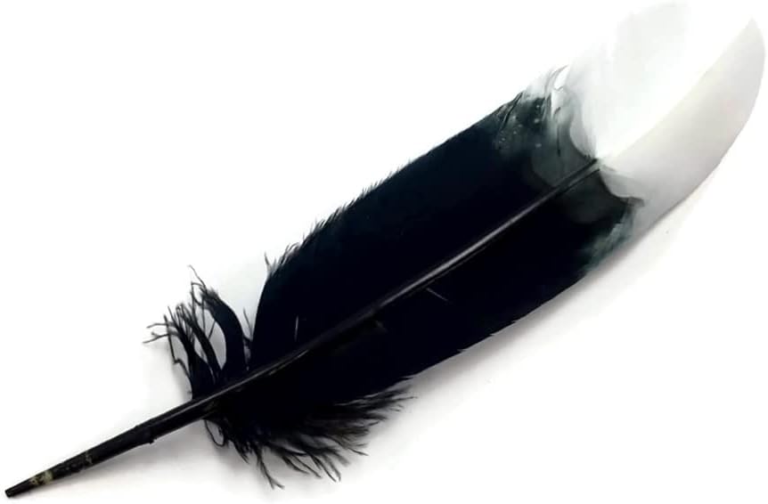 6 Pieces - White Tipped "Imitation Eagle" Turkey Tom Rounds Secondary Wing Quill Feathers