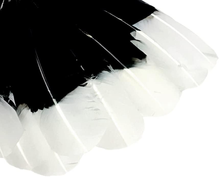 6 Pieces - White Tipped "Imitation Eagle" Turkey Tom Rounds Secondary Wing Quill Feathers