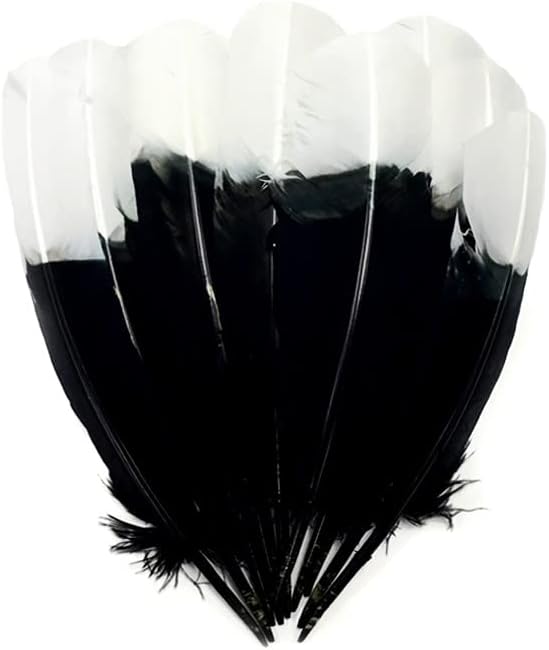 6 Pieces - White Tipped "Imitation Eagle" Turkey Tom Rounds Secondary Wing Quill Feathers