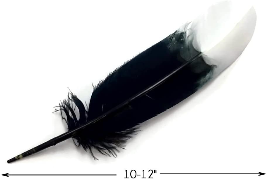 6 Pieces - White Tipped "Imitation Eagle" Turkey Tom Rounds Secondary Wing Quill Feathers