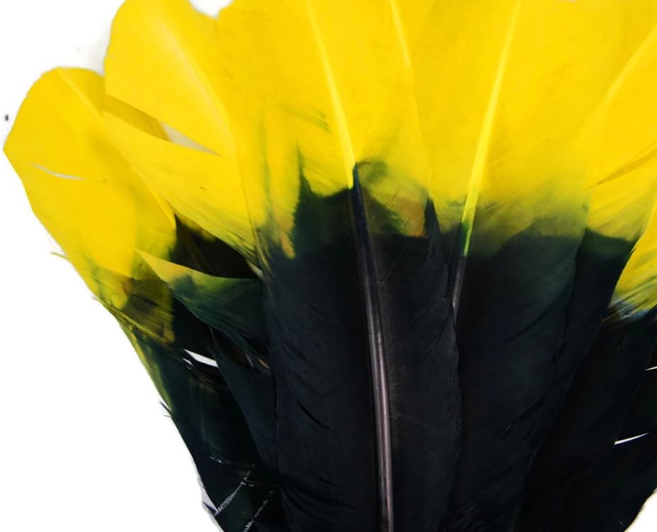 6 Pieces - Yellow & Black Two Tone Turkey Round Tom Wing Secondary Quill Feathers
