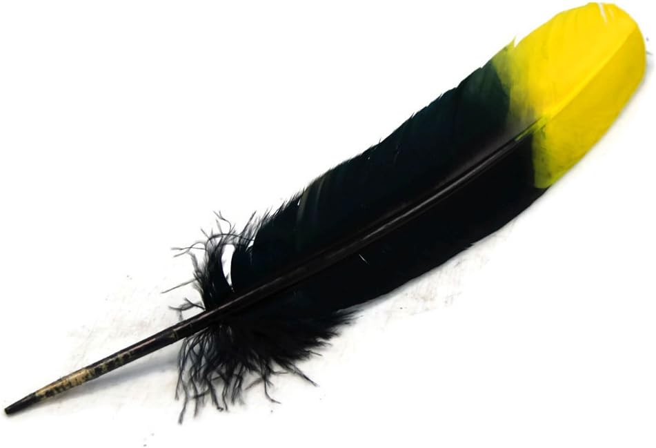 1/4 Lb - Yellow & Black Two Tone Turkey Rounds Tom Wing Secondary Quill Feathers