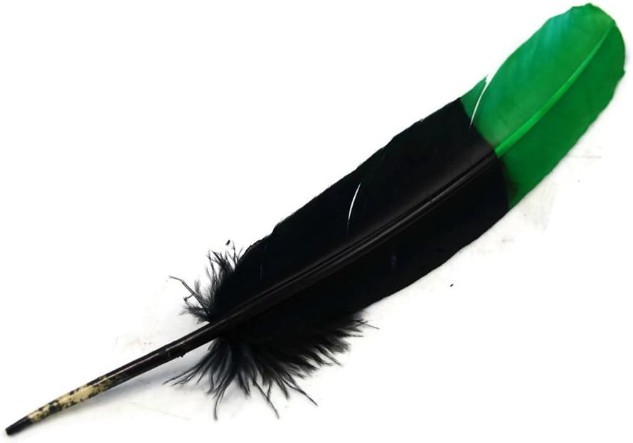 1/4 Lb - Green & Black Two Tone Turkey Rounds Tom Wing Secondary Quill Feathers
