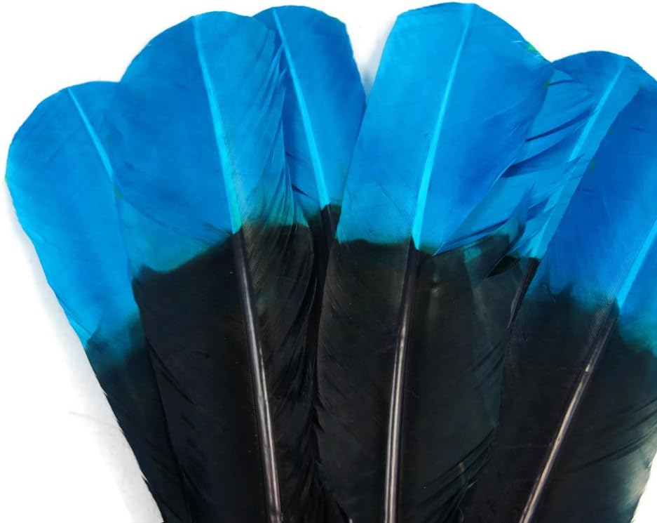 6 Pieces - Turquoise Blue & Black Two Tone Turkey Round Tom Wing Secondary Quill Feathers