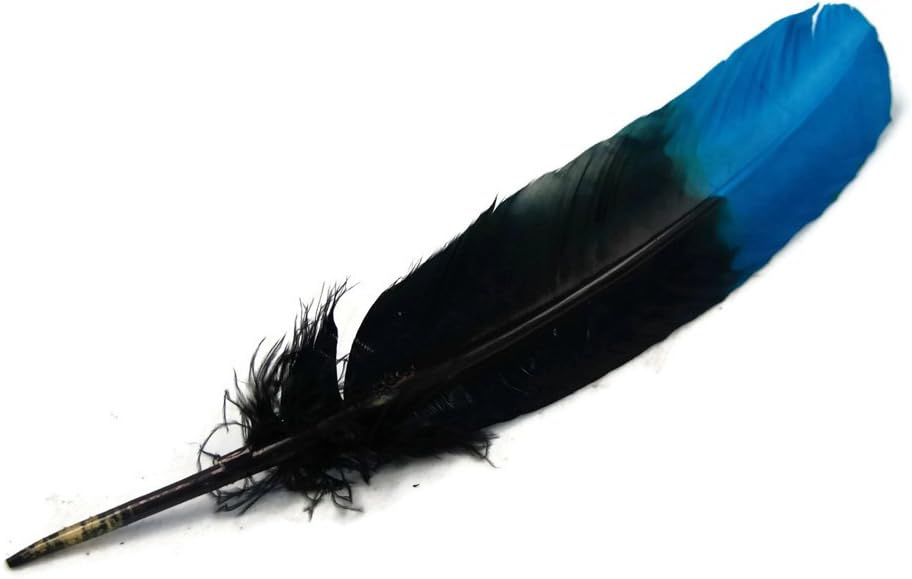 6 Pieces - Turquoise Blue & Black Two Tone Turkey Round Tom Wing Secondary Quill Feathers