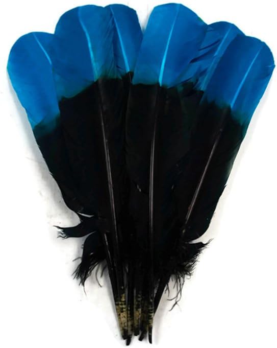 6 Pieces - Turquoise Blue & Black Two Tone Turkey Round Tom Wing Secondary Quill Feathers