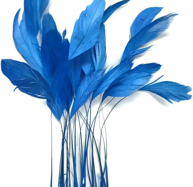 1 Dozen - Turquoise Blue Stripped Rooster Coque Tail Feathers