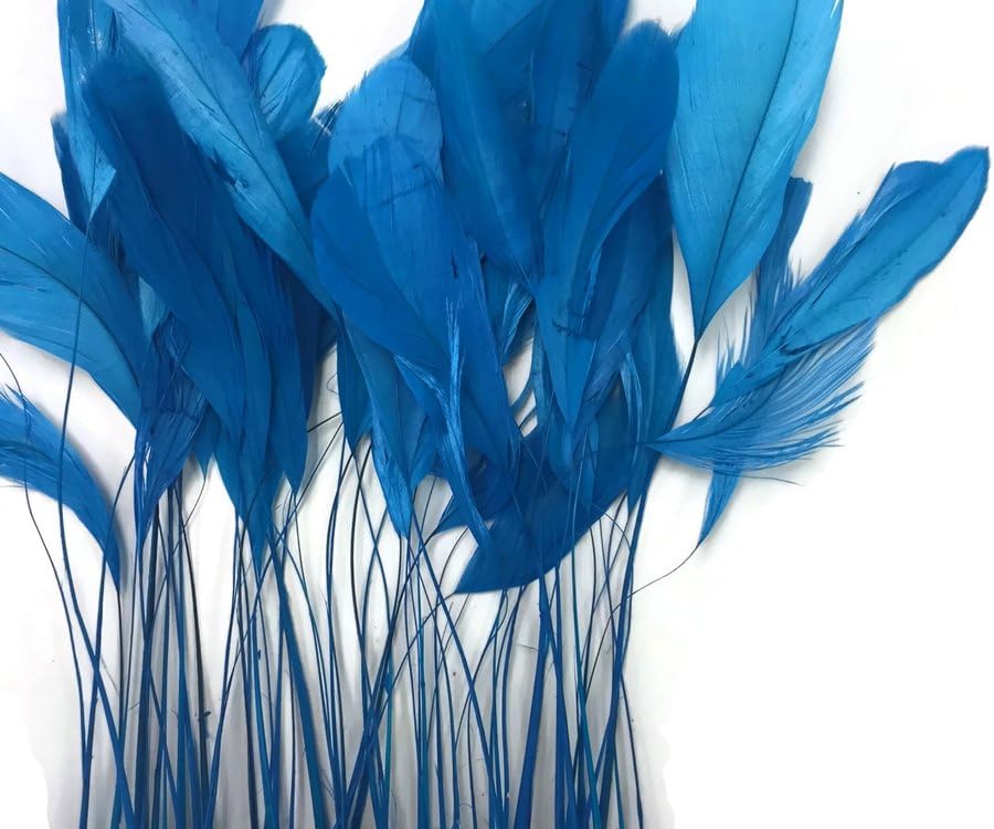 1 Dozen - Turquoise Blue Stripped Rooster Coque Tail Feathers