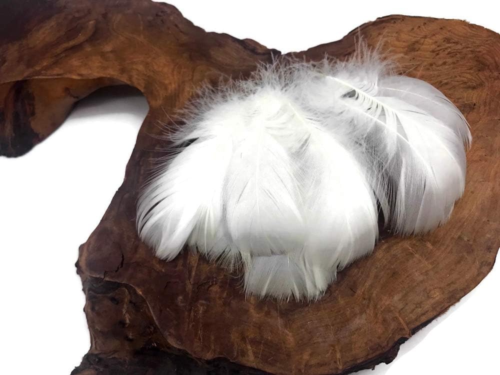 1 Pack - 2-3" White Goose Coquille Loose Feathers - 0.35 Oz.