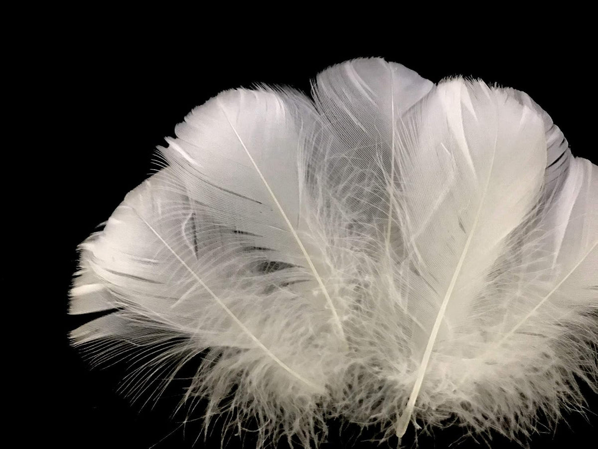 1 Pack - 2-3" White Goose Coquille Loose Feathers - 0.35 Oz.