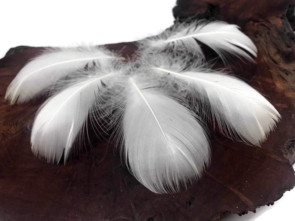 1 Pack - 2-3" White Goose Coquille Loose Feathers - 0.35 Oz.