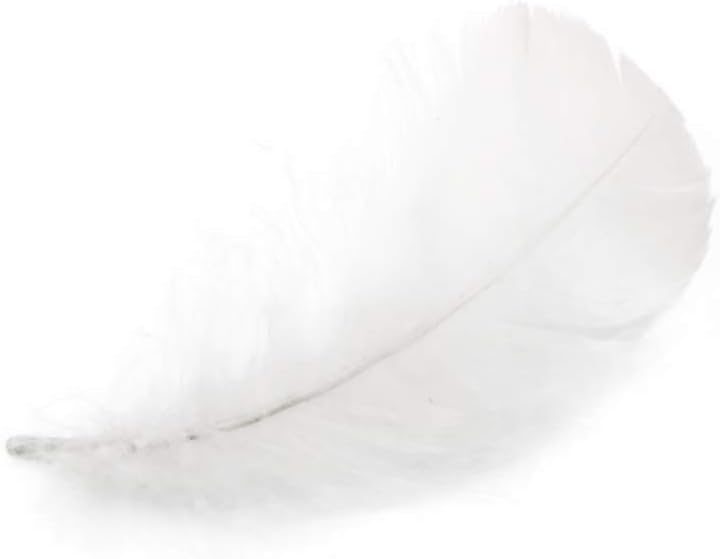 1/4 Lb - 2-3" White Goose Coquille Loose Wholesale Feathers (Bulk)