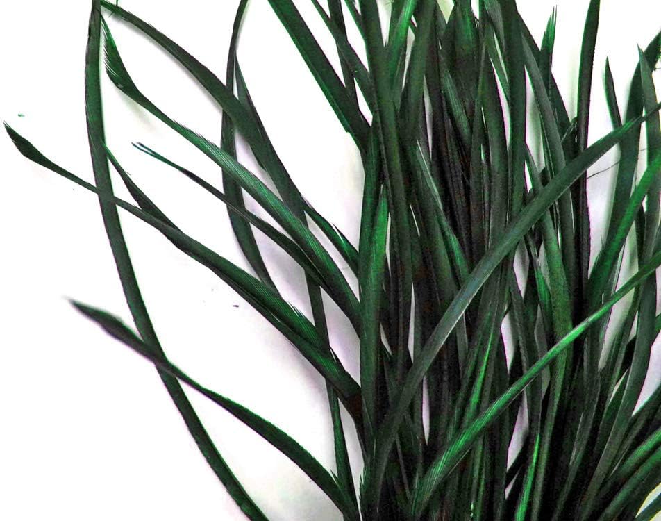 1 Yard - Hunter Green Goose Biots Stripped Wing Wholesale Feather Trim